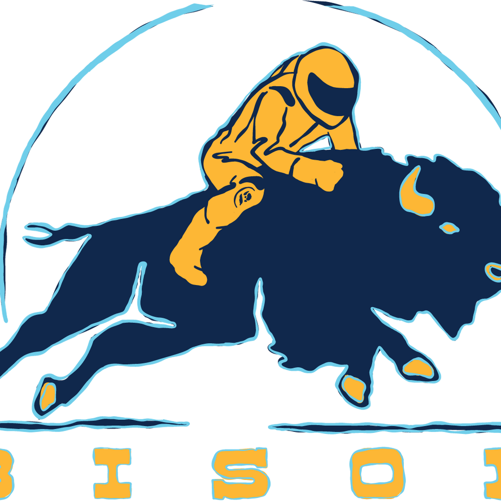 Bison Holeshot Stickers
